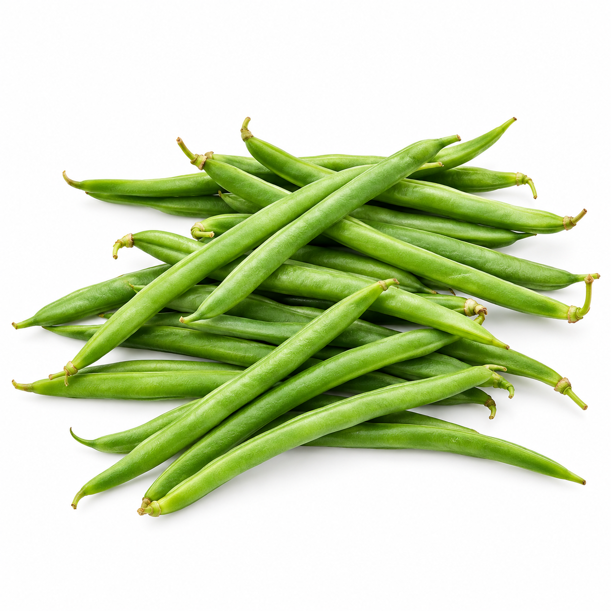 Illustration de haricots verts sur fond blanc